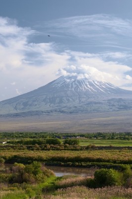 арарат