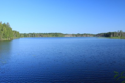 IMG_5173_новый размер.JPG