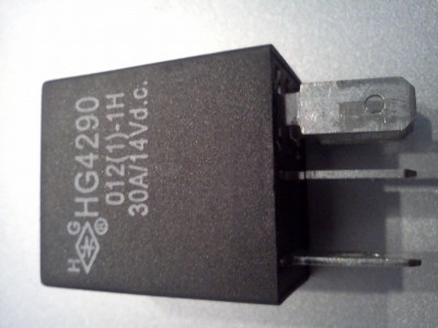 IMG20101024_001.jpg