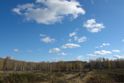 DSC04656_1944x1296.jpg