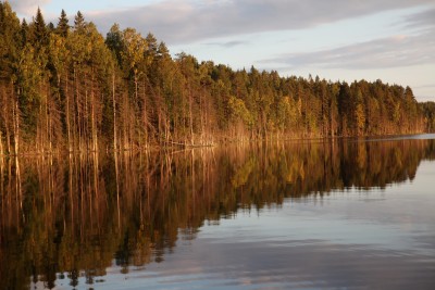 IMG_3088.jpg