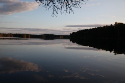 IMG_3081.jpg
