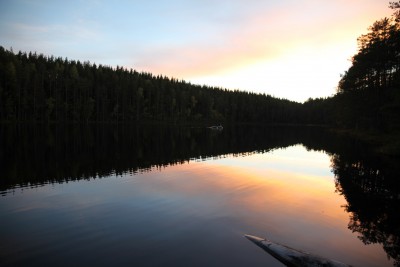 IMG_3021.jpg