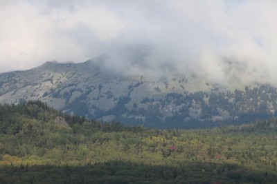 IMG_3333.JPG