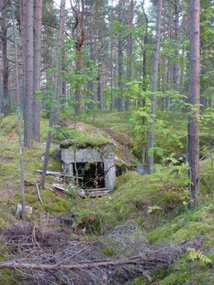 местные с удовольствием используют воронки под помойку.это у них здорово получаеться