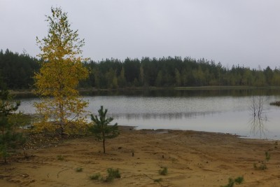DSCF0036.jpg