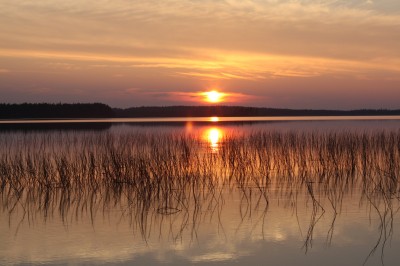 IMG_1568.jpg