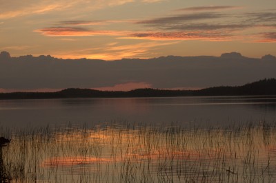 IMG_2322.jpg