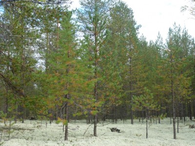 P1000577.JPG