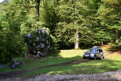 DSC_2303.JPG
