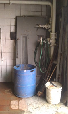 IMAG0987.jpg