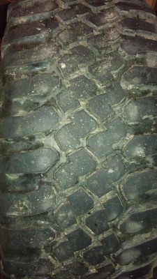 IMAG0075.jpg