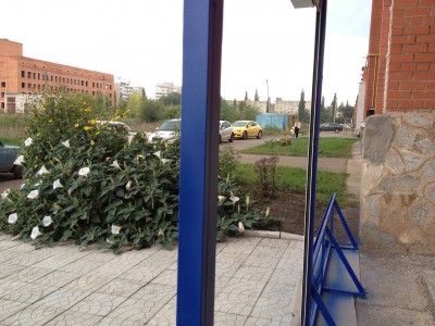 структура3.jpg