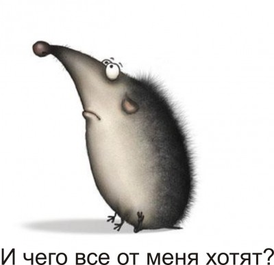 dWs30goOZOvHd35HrLCQ0SSMdtPwiGJUD0AaA3zA4w.jpg