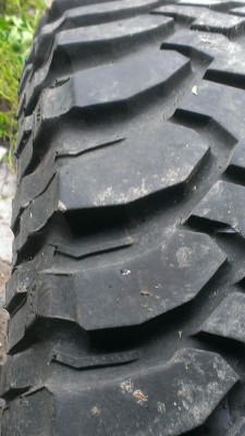 IMAG0236.jpg