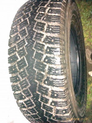 IMAG0677.jpg