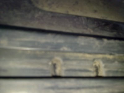 02112010296.jpg