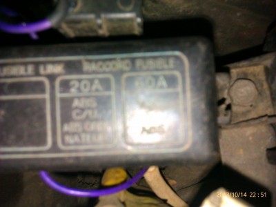 IMAG0697.jpg