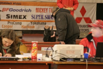 IMG_0193_новый размер.JPG