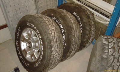IMAG0517.jpg