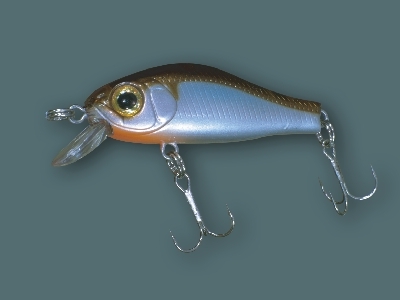 ZipBaits Rigge 35F