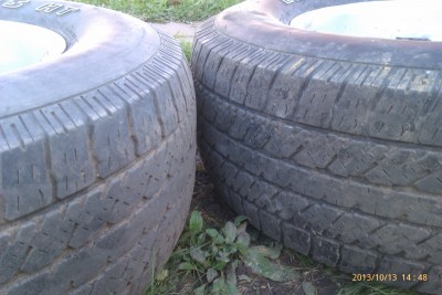 IMAG0686.jpg