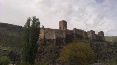 DSC_9995.jpg