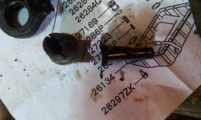 IMAG0230.jpg