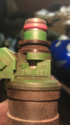 IMAG0557.jpg