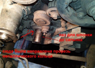 4037600552c5.jpg