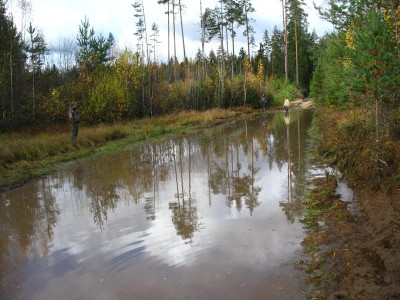 Самое засадное место. Сидели все...