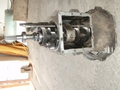 PA233742.JPG