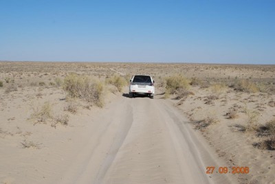 DSC_0230.jpg