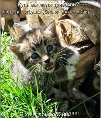 IMG_25102013_134437.png