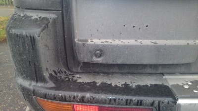 06112010310.JPG