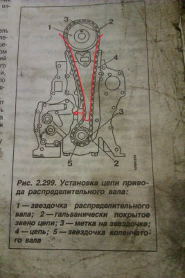 IMAG00681.jpg