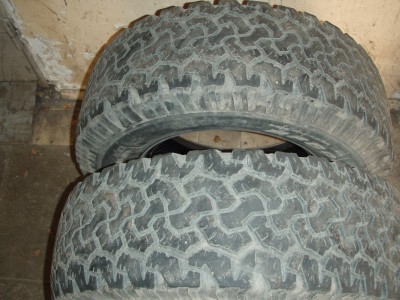PA303767.JPG