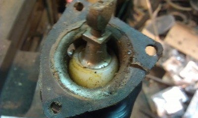 IMAG0539.jpg