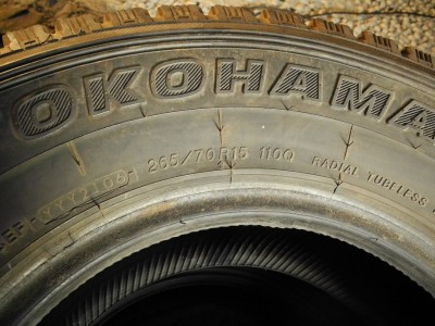 DSCN8608.JPG