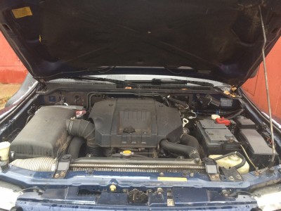 image6.jpeg