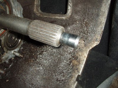 PB053768.JPG