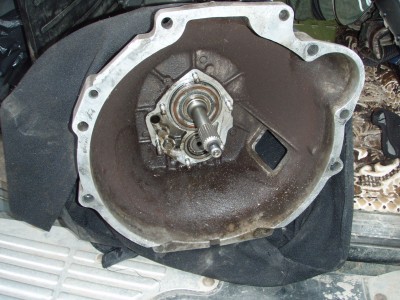 PB053770.JPG