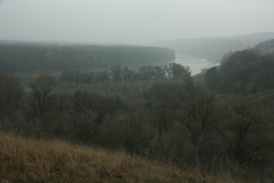 Дон 2013 250.jpg