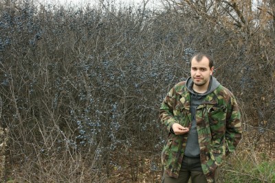 Дон 2013 218.jpg