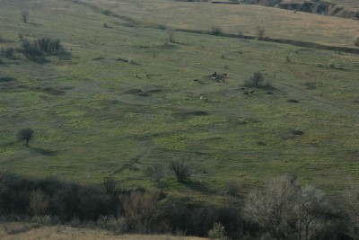 Дон 2013 014.jpg