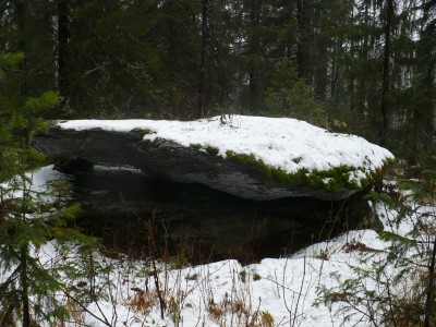 P1010919.JPG