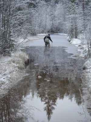 _DSC01258.JPG (379.85 КБ) 2021 просмотр "Суровые карельские дети идут в школу"