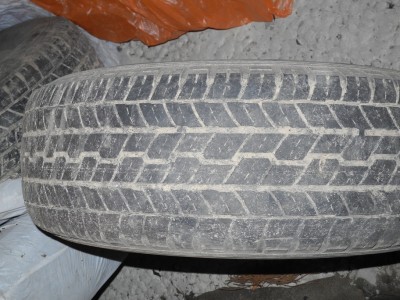 DSCN8598.JPG