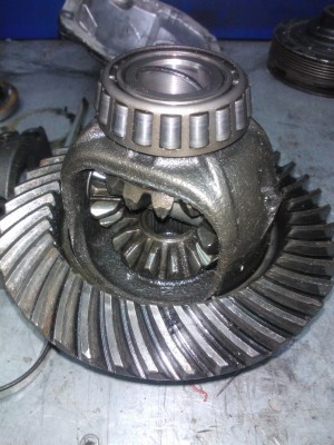 WP_000508.jpg