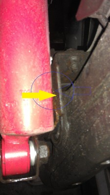 IMAG0435.jpg